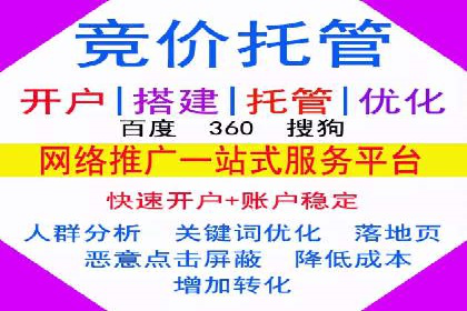 某科技公司的信息流广告投放策略与效果评估